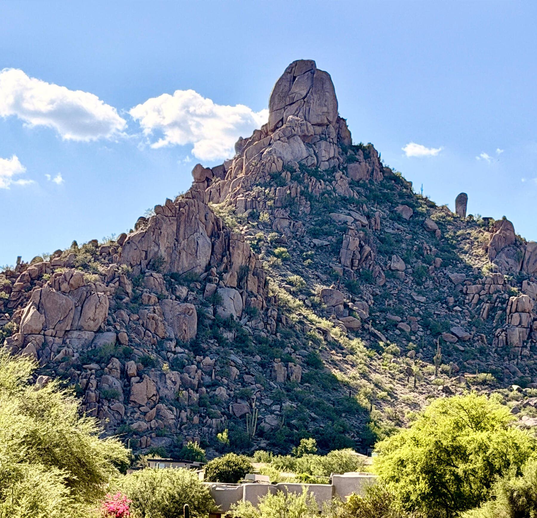 headquartered in Scottsdale, AZ